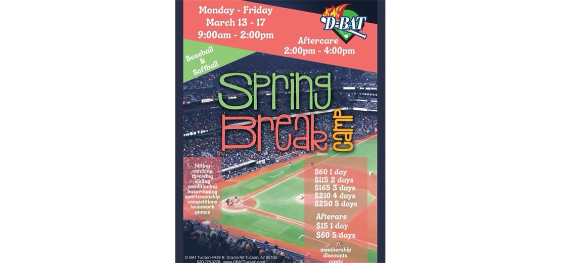 DBat Spring Break Camps